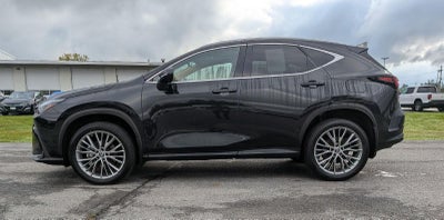 2023 Lexus NX 350 Luxury