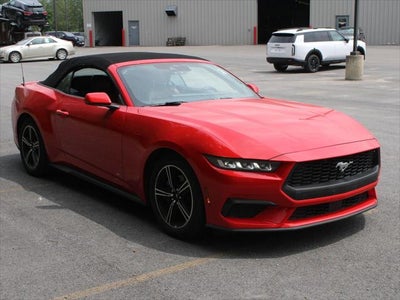 2024 Ford Mustang EcoBoost Premium