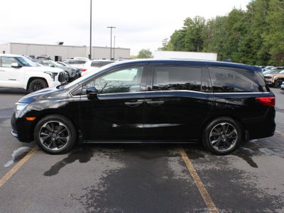 2024 Honda Odyssey Elite