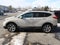 2019 Honda CR-V EX All Wheel Drive CVT
