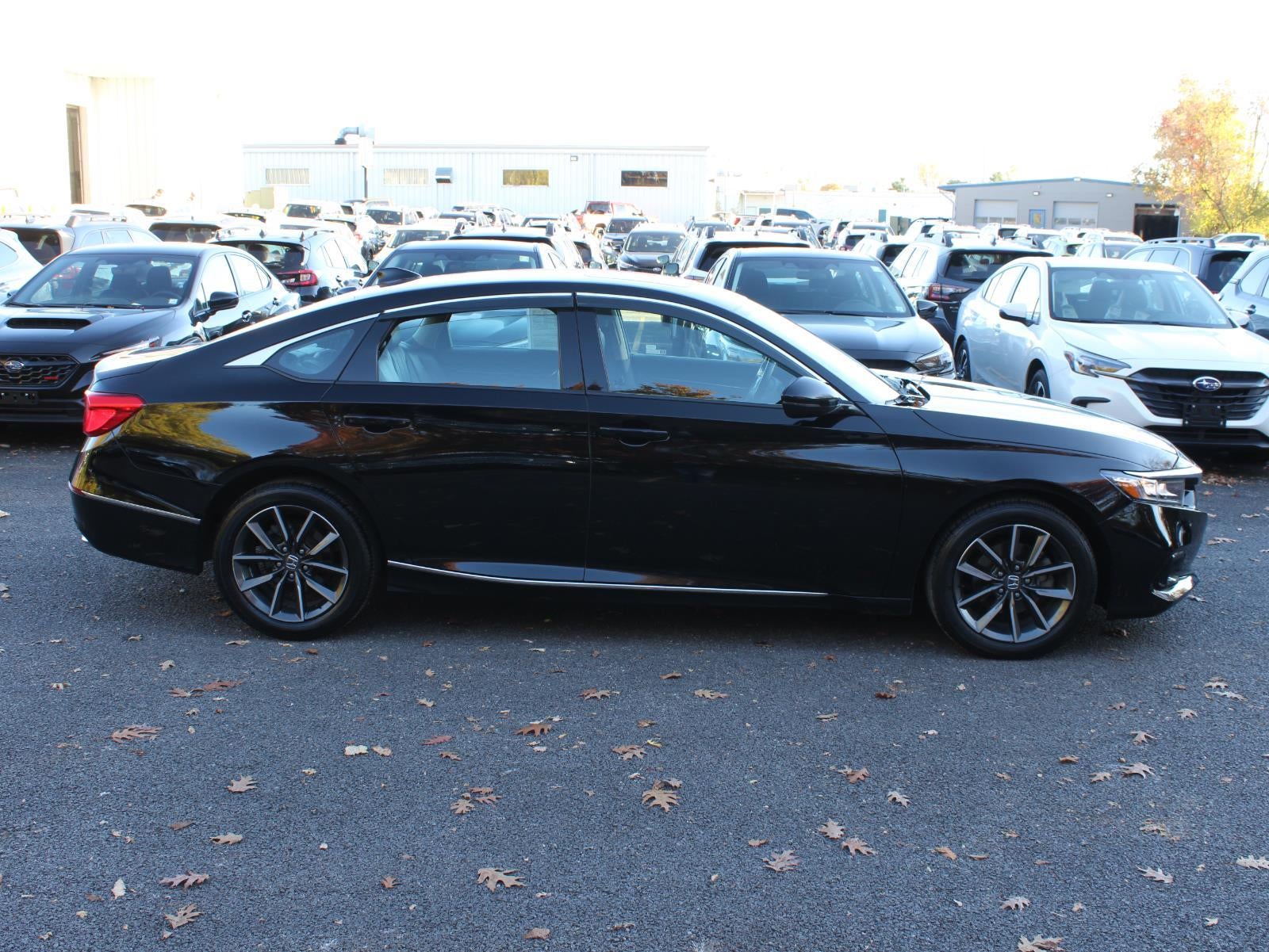 2022 Honda Accord Sedan EX-L