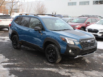 2023 Subaru Forester Wilderness