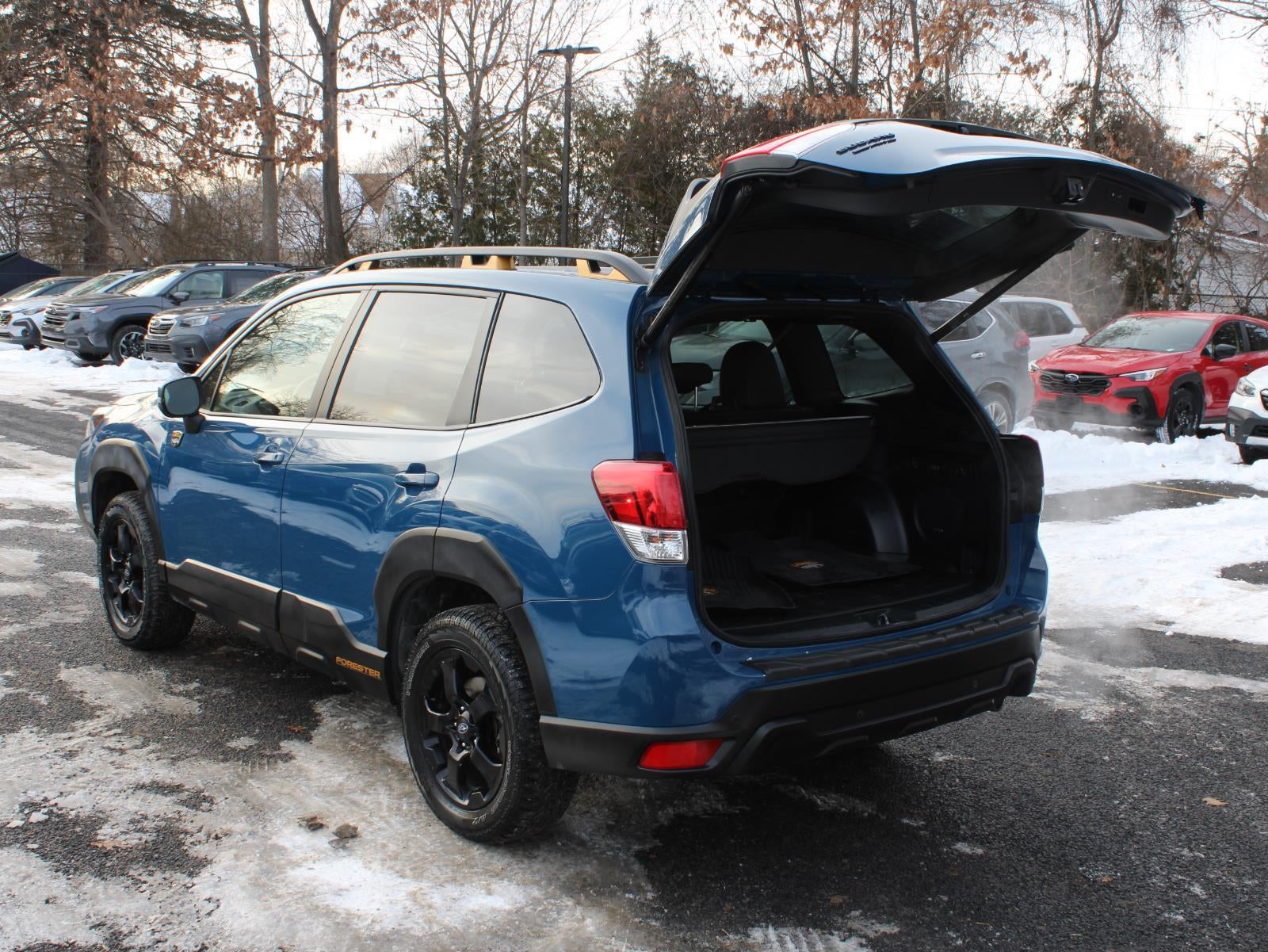 2023 Subaru Forester Wilderness