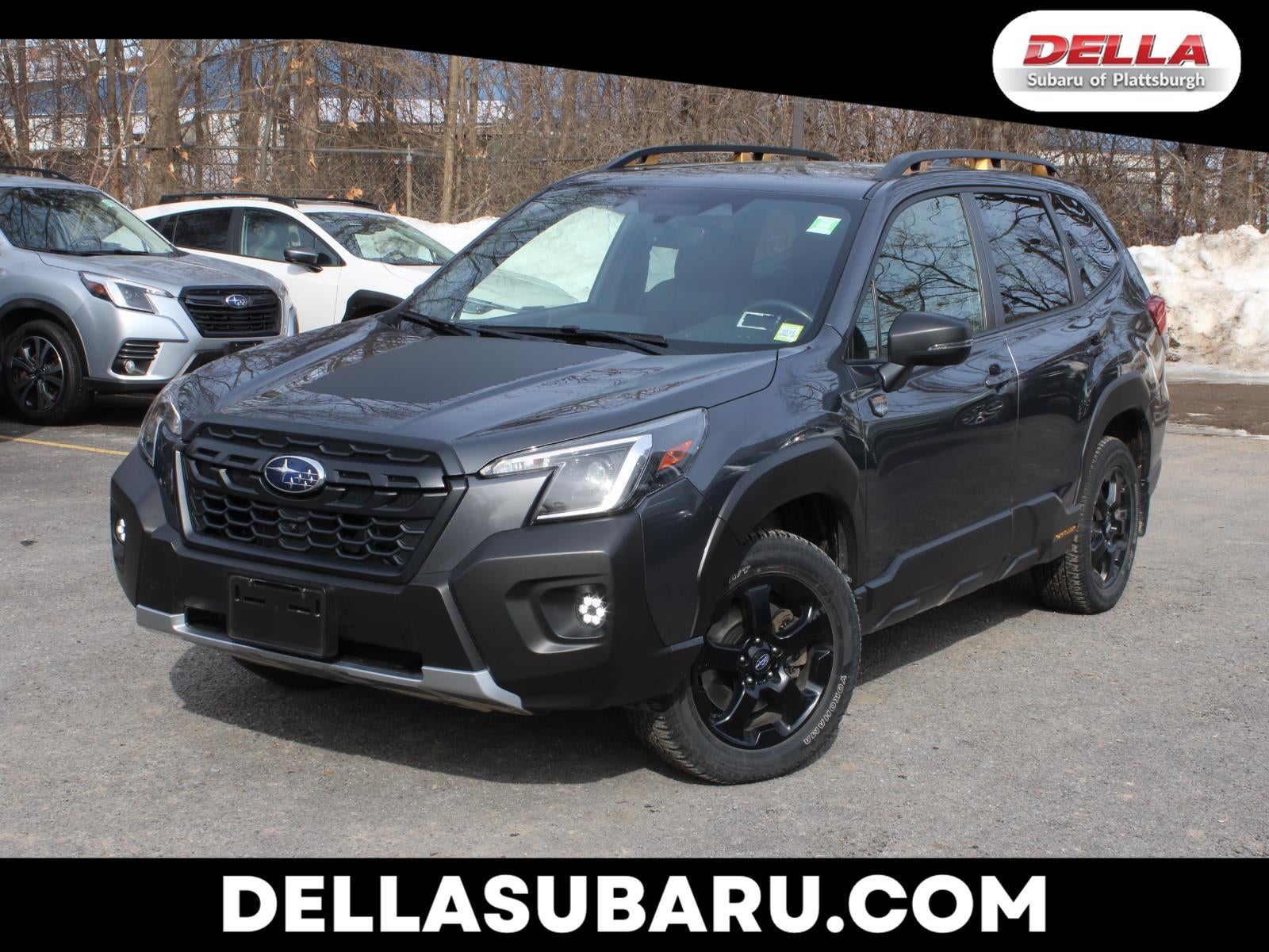 2023 Subaru Forester Wilderness
