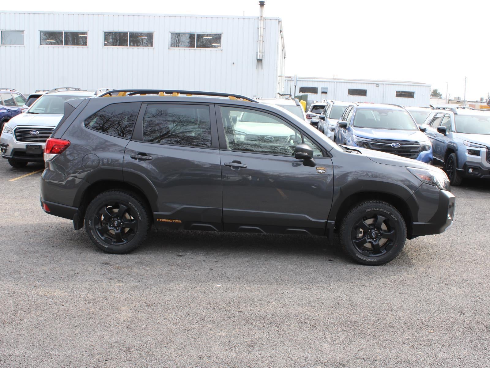 2023 Subaru Forester Wilderness