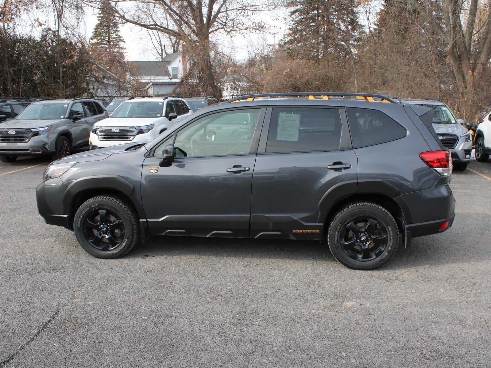 2023 Subaru Forester Wilderness